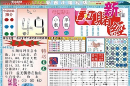 香港資料大全正版資料使用方法,權(quán)威方法推進(jìn)方案_復(fù)古版 64.309 