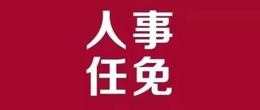 漢沽區(qū)審計(jì)局人事任命揭曉，開啟未來審計(jì)新篇章