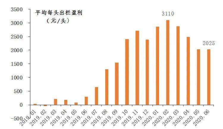 王中王三組三中三,實(shí)地分析數(shù)據(jù)執(zhí)行_超級(jí)版 15.351 