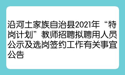 沿河土家族自治縣審計(jì)局招聘公告及詳細(xì)信息解讀